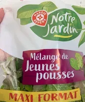Mélange jeunes pousses