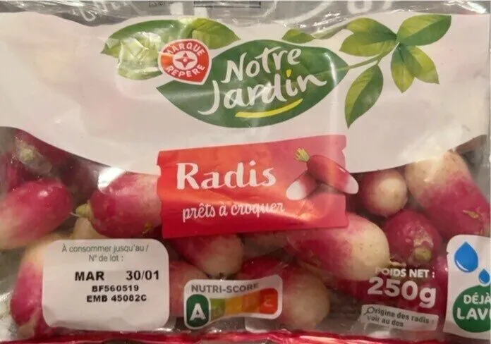 Radis prêts à croquer