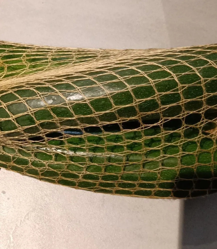 Courgettes