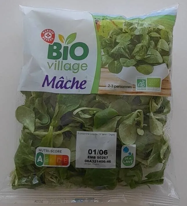 Mâche