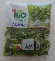 Mâche
