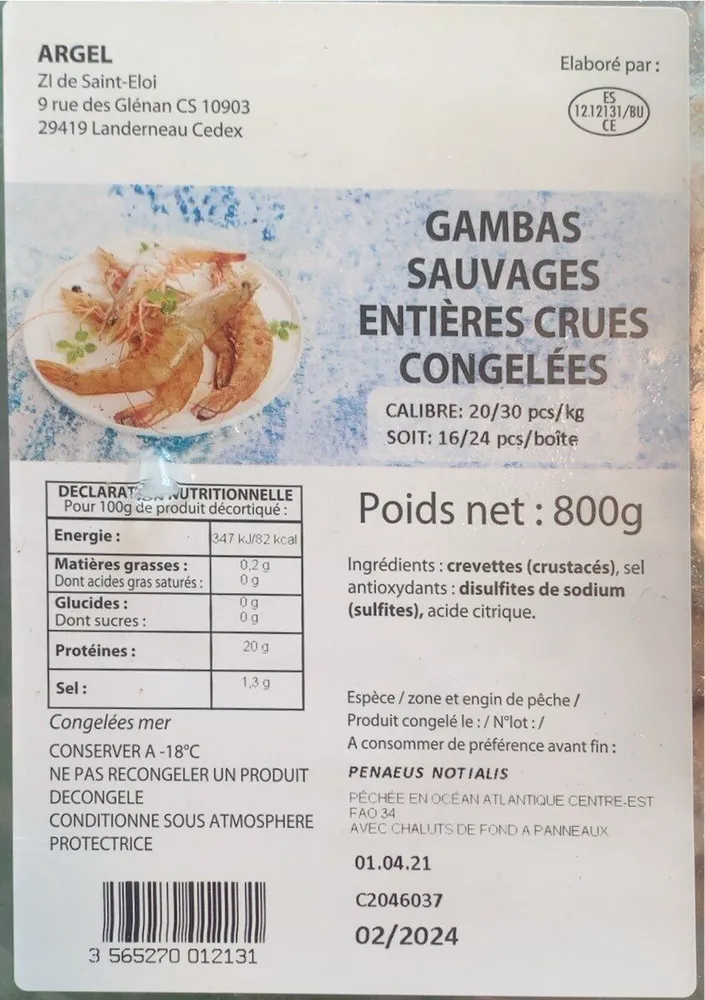 Gambas sauvage