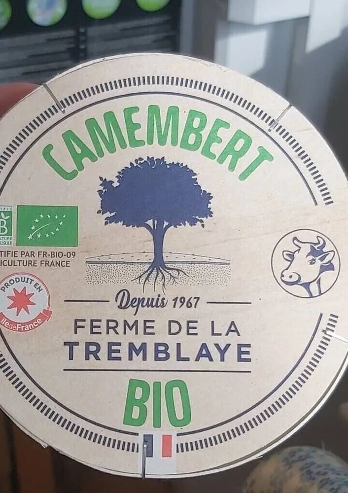 Camembert