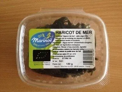 Haricot de mer