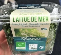 Laitue de mer