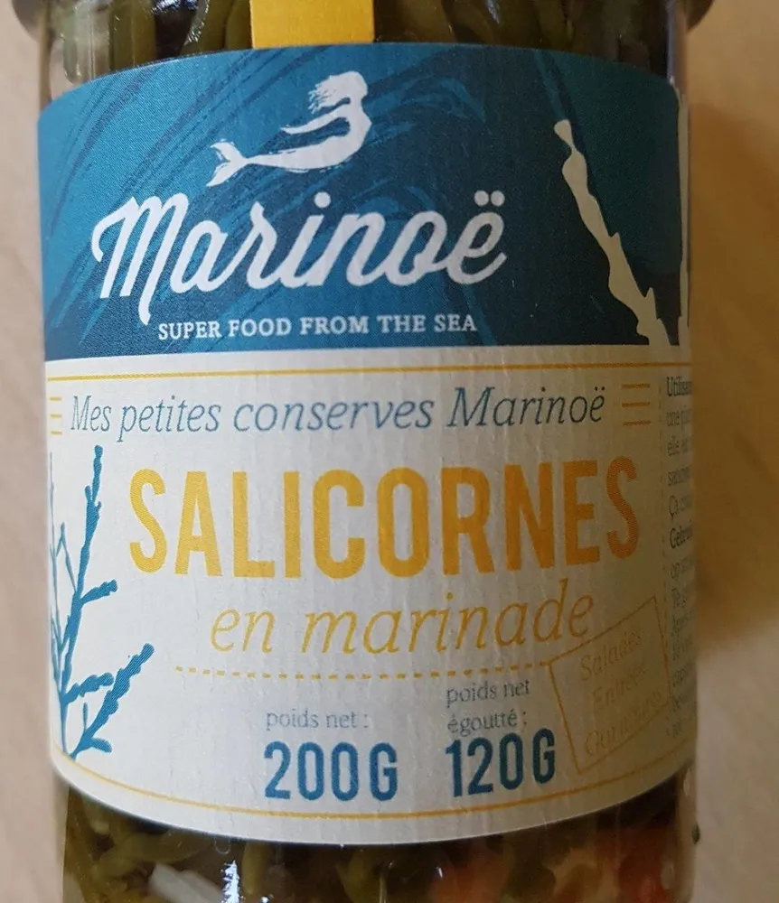 Salicornes