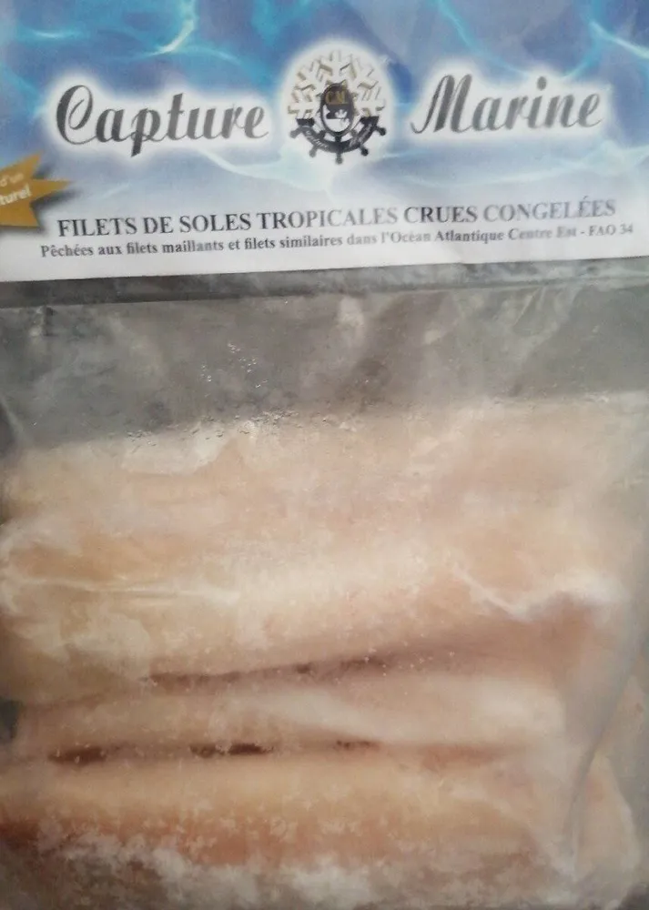 Filets de soles tropicales crues congelées