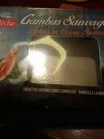 Gambas sauvages