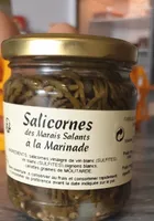 Salicornes