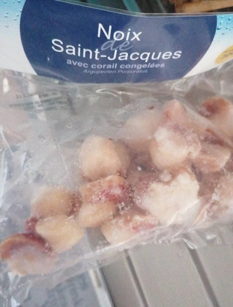Noix de St Jacques