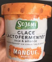 Glace lacto fermentée soja& amnande