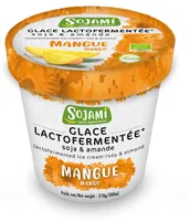 Glace lactofermentée soja & amande - mangue
