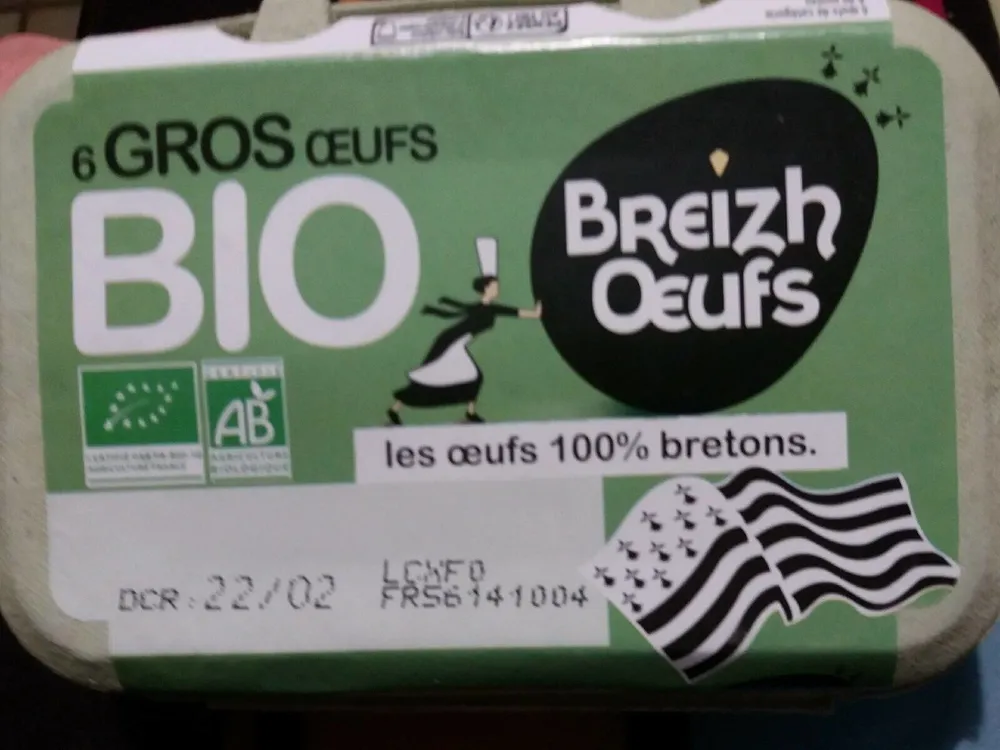 6 gros oeufs