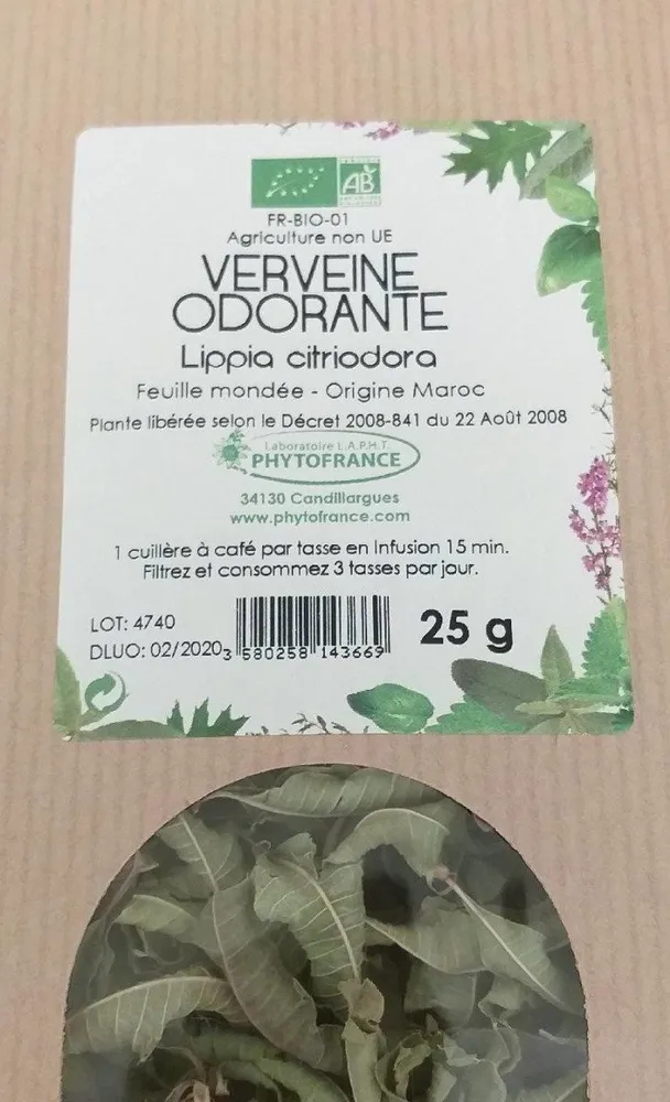 Verveine odorante