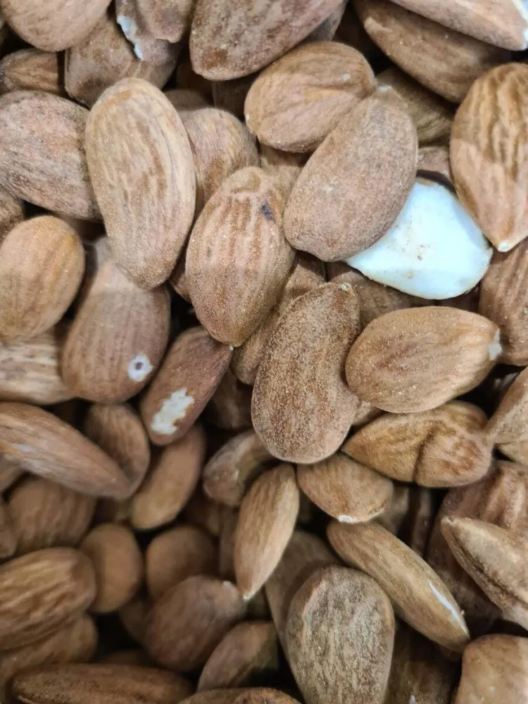 Amandes décortiquées Bio