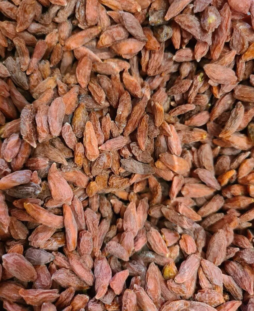 Baie de goji Bio