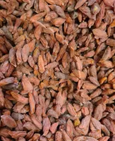 Baie de goji Bio