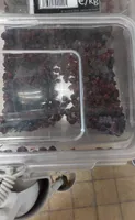 Cranberries entières séchées bio