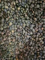 Lentilles vertes Bio