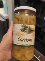 Cardons AU NATUREL - IDÉAL EN GRATIN