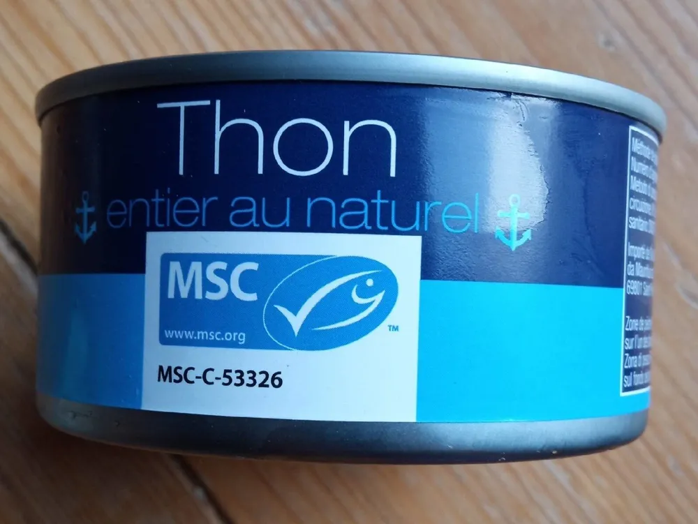 Thon entier naturel