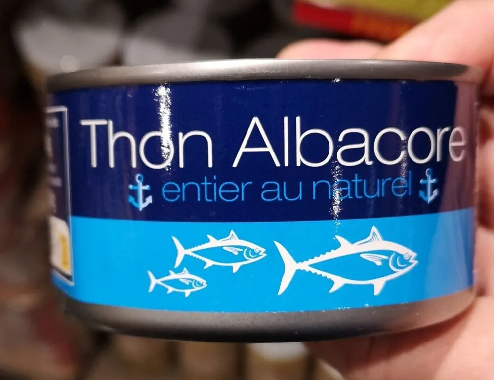 Thon albacore
