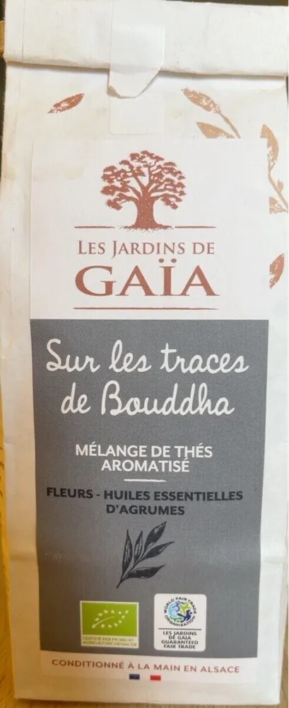 Sur les traces de Bouddha