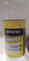 Hydra