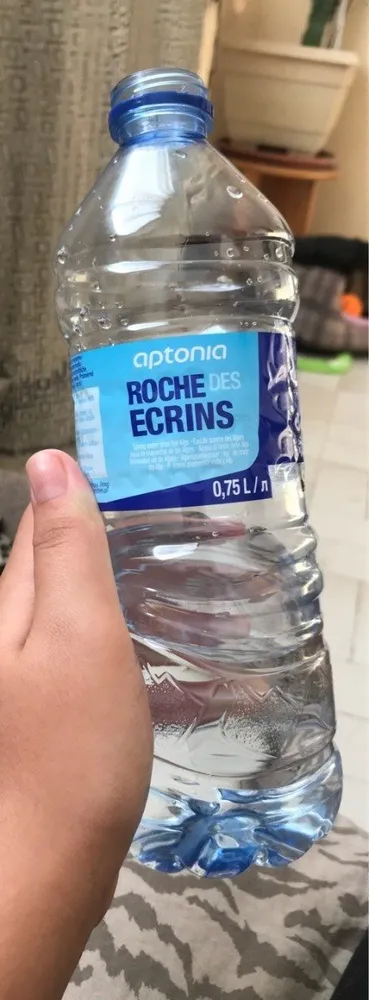 ROCHE DES ECRINS