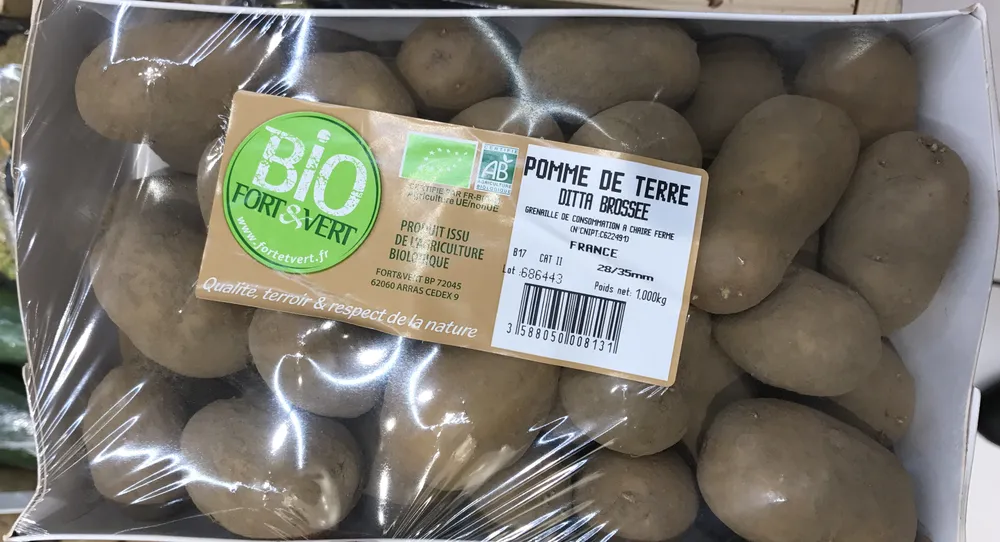 Pommes de terre Ditta brossée