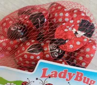 Lady bug