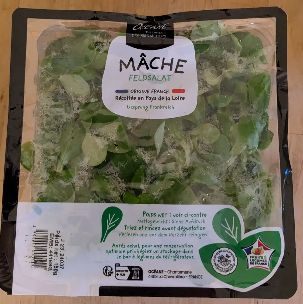 Mâche