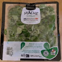 Mâche