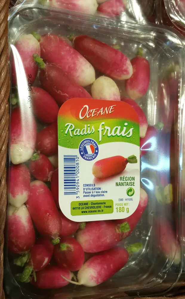 Radis Frais