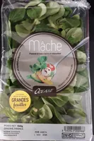 Mâche
