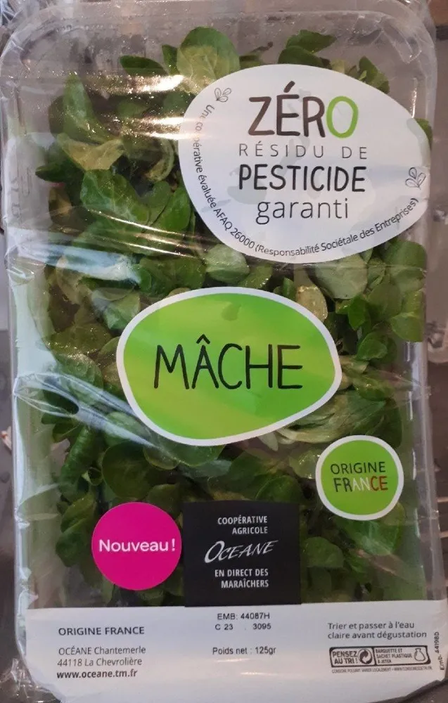 Mâche
