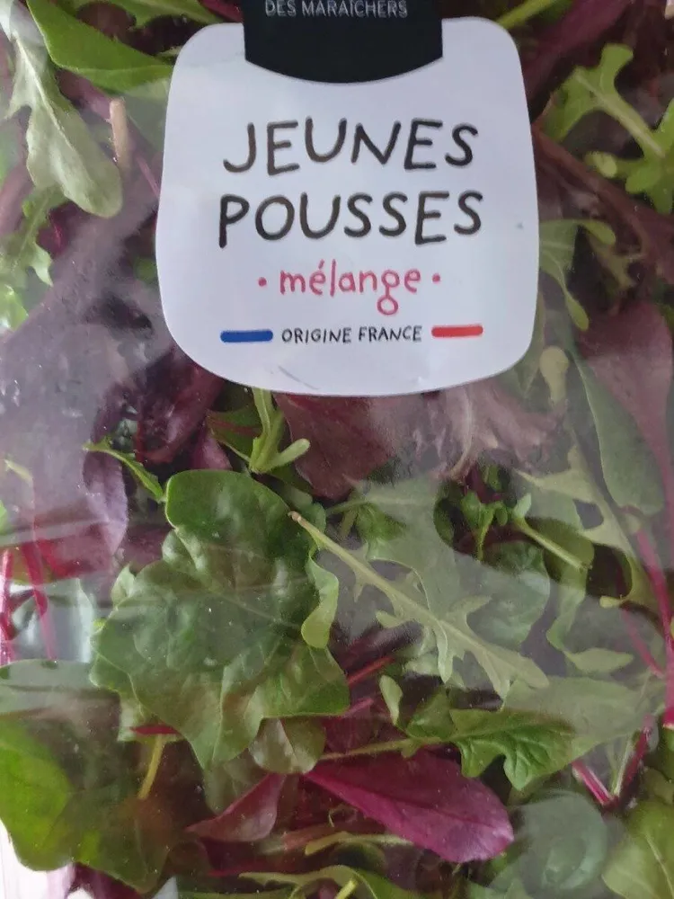 Jeunes pousses mélange