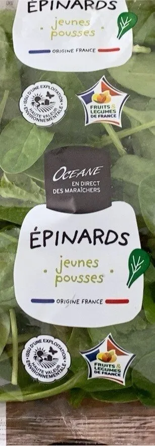 Epinard Jeunes Pousses