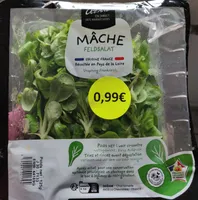 Mâche