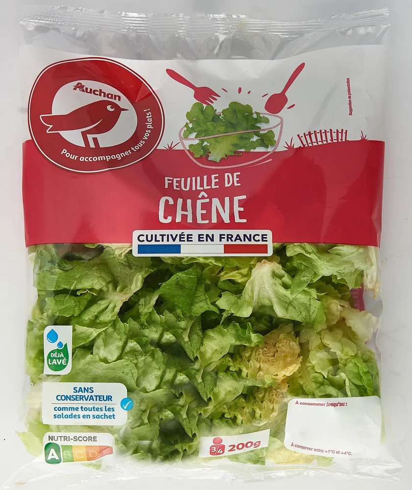 Feuille de chene