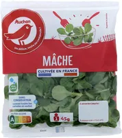 Mâche