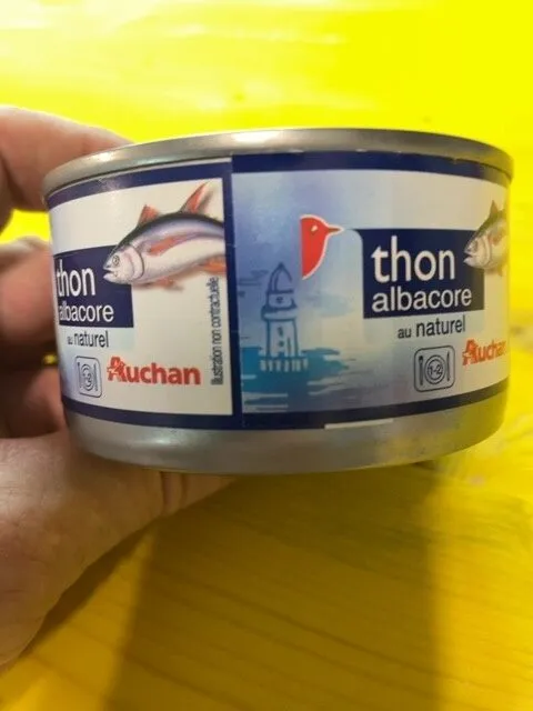 Thunfisch natur albacore