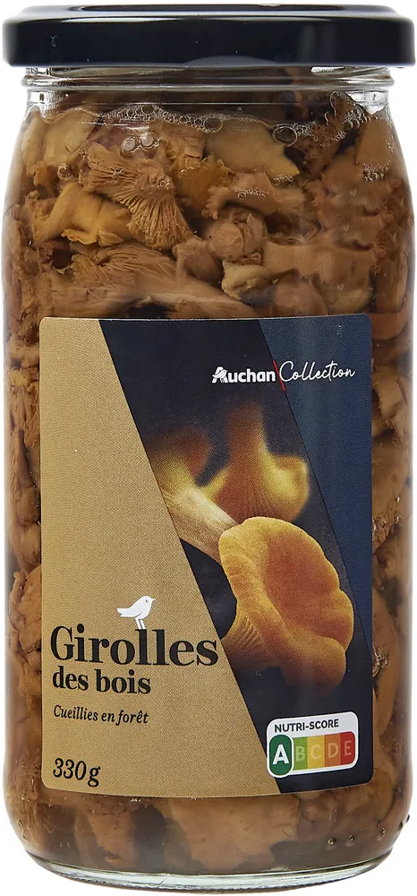 Girolles des bois cueillies en forêt
