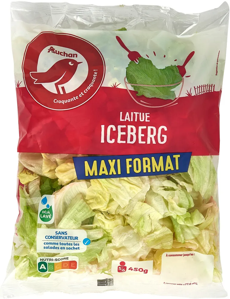 LAITUE ICEBERG Maxi format