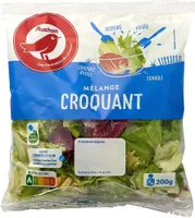 Mélange croquant salade