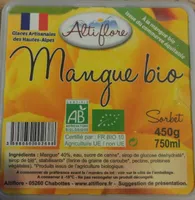 Sorbet mangue bio