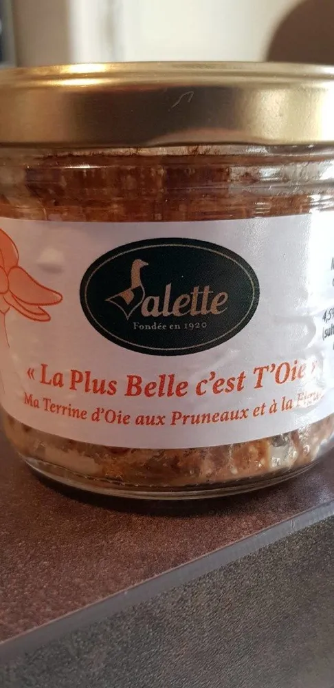Terrine d'oie aux pruneaux et à la figue