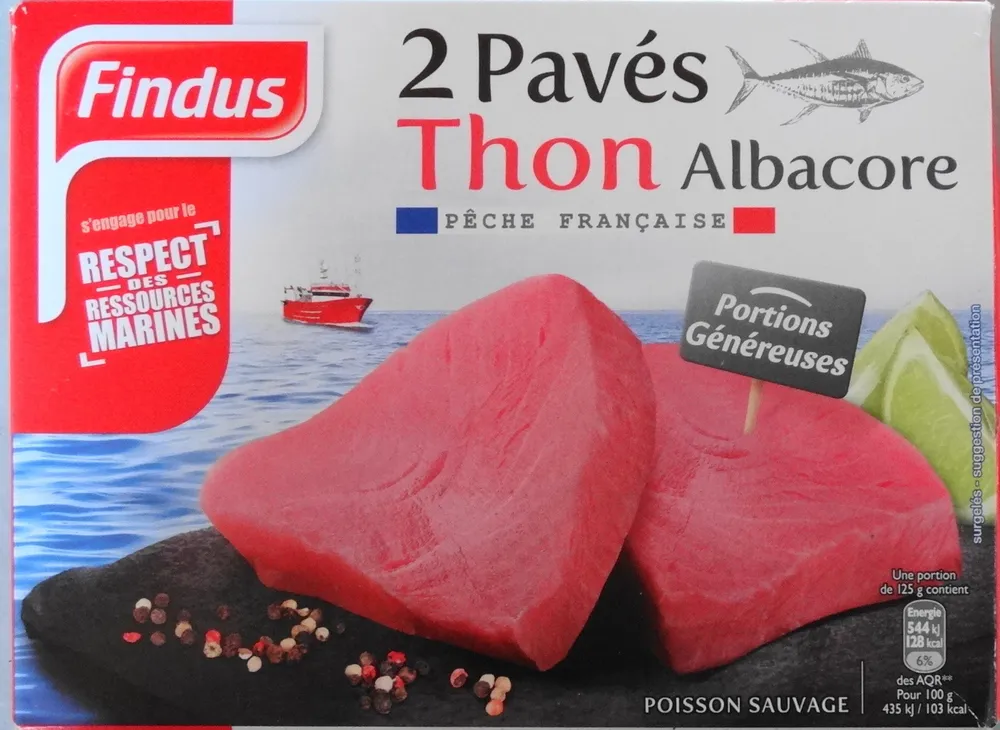 2 Pavés Thon Albacore