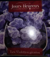 Violettes givrées