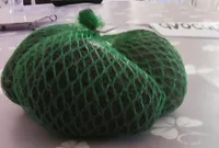 Avocat Mexique